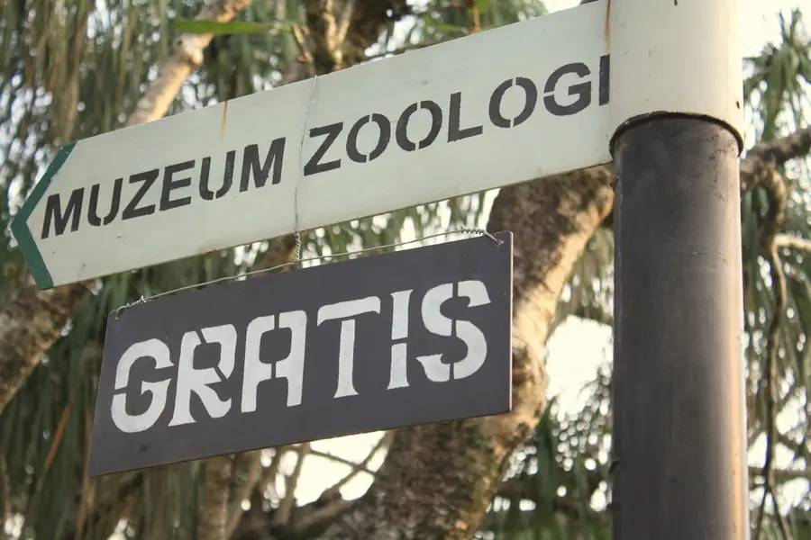 Rekomendasi Tempat Wisata di Bogor yang Wajib Dikunjungi