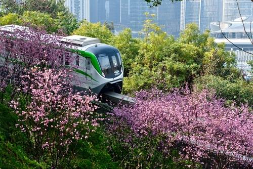 สวนดอกไม้ฉงชิ่ง (Chongqing Flower Garden)
