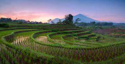 Daftar 10 Wisata Trawas yang Lagi Hits, Kamu Wajib Coba!, Xperience Team