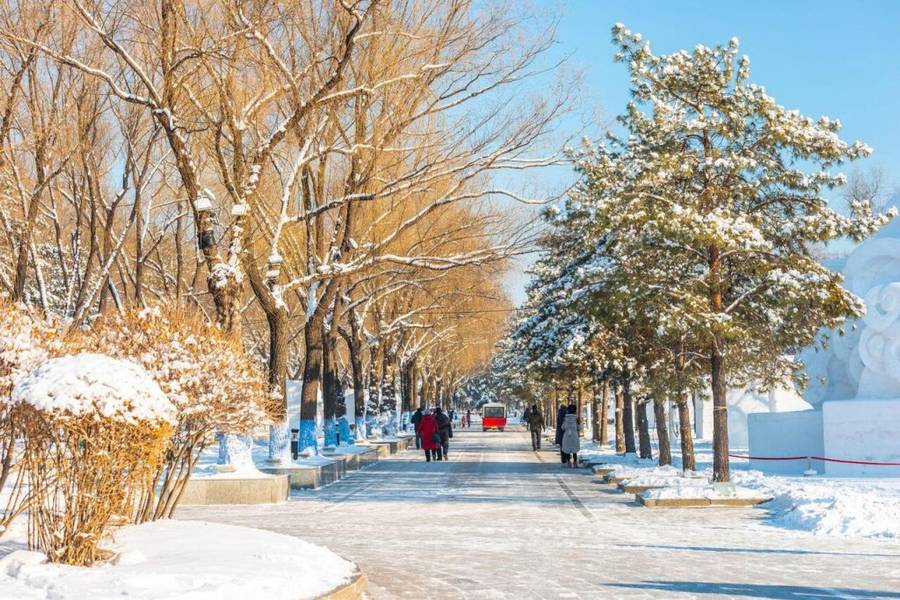 Mùa đông ở vùng Đông Bắc Trung Quốc với tuyết phủ trắng xóa