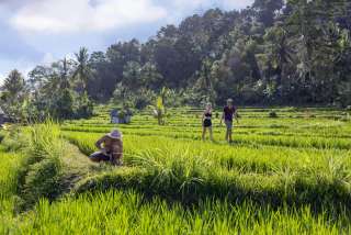 Where to go off the beaten track in Bali, Traveloka Team