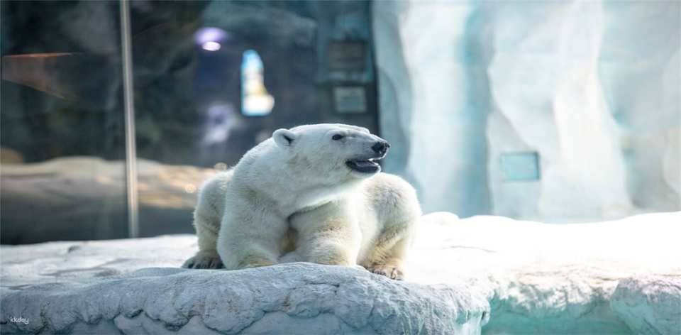 Chimelong Ocean Kingdom 