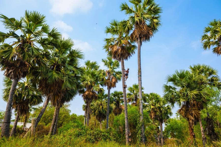 Credit: การท่องเที่ยวแห่งประเทศไทย (ททท.)