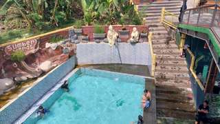 Eksplor Wisata Pemandian Kalireco & Rekomendasi Hotel Sekitarnya, Mas Bellboy
