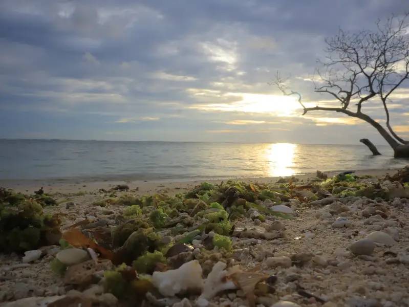 Rekomendasi Wisata di Lampung