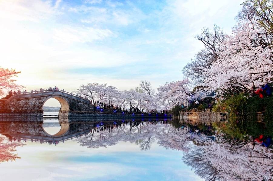 Hoa đào nở rộ tại Yuantouzhu, Vô Tích Trung Quốc