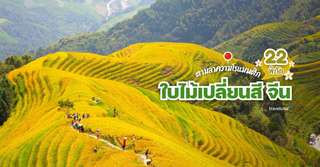 Chasing Romance 22 Must-Visit Autumn Foliage Spots in China, Traveloka TH