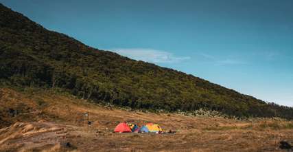 7 Gunung di Bogor untuk Pendaki Pemula: Jalur Mudah, Pemandangan Memukau, Travel Bestie