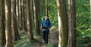 8 Tempat Trekking di Bandung dengan View Alam Indah, Travel Bestie
