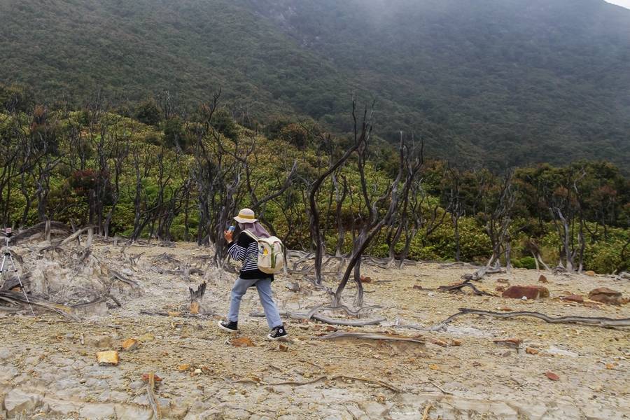 Gunung Papandayan