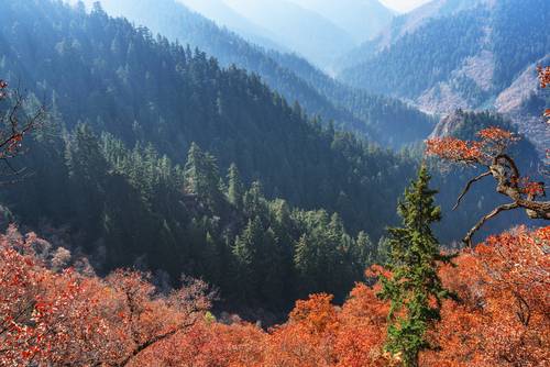 พื้นที่อนุรักษ์ธรรมชาติภูเขาซิงหลง (Xinglong Mountain Nature Reserve / 兴隆山自然保护区)