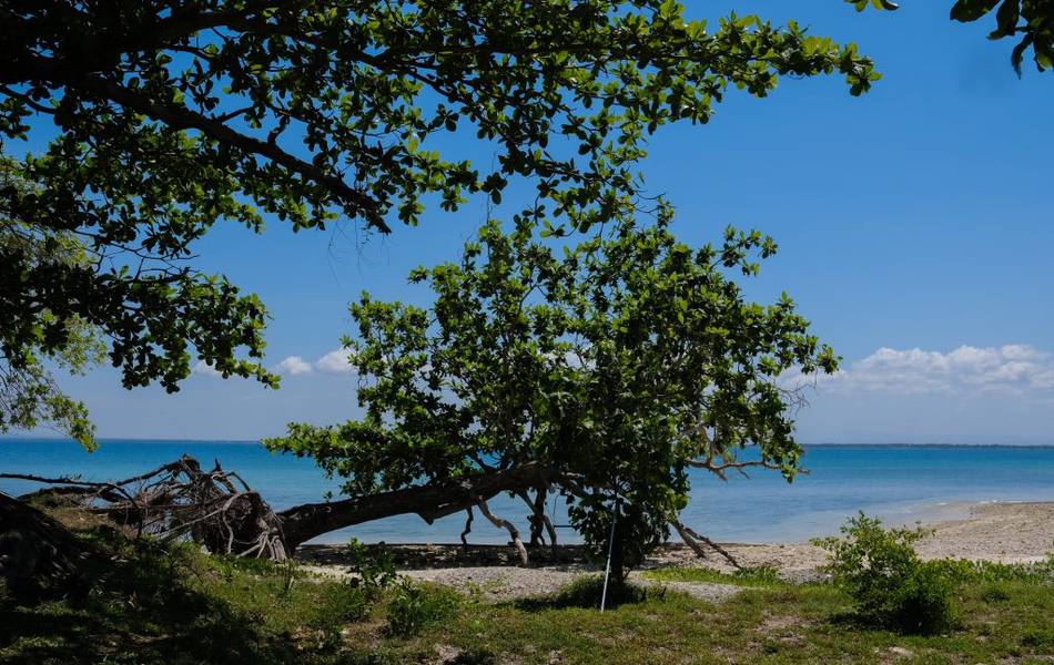 Pulau Liwungan