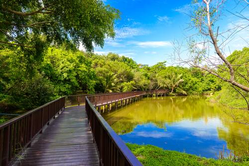 สวนสาธารณะและสวนพฤกษชาติ ศรีนครเขื่อนขันธ์