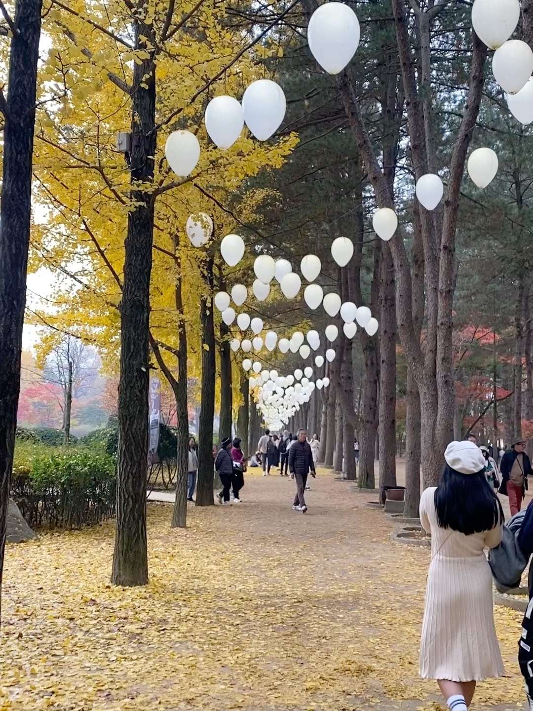 Buy Nami Island, Petite France, and Italian Village Tour from Seoul ...