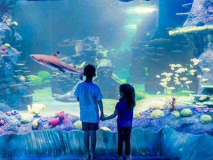 Iconic Aussie attractions for less: exclusive discounts with Traveloka, Traveloka Team