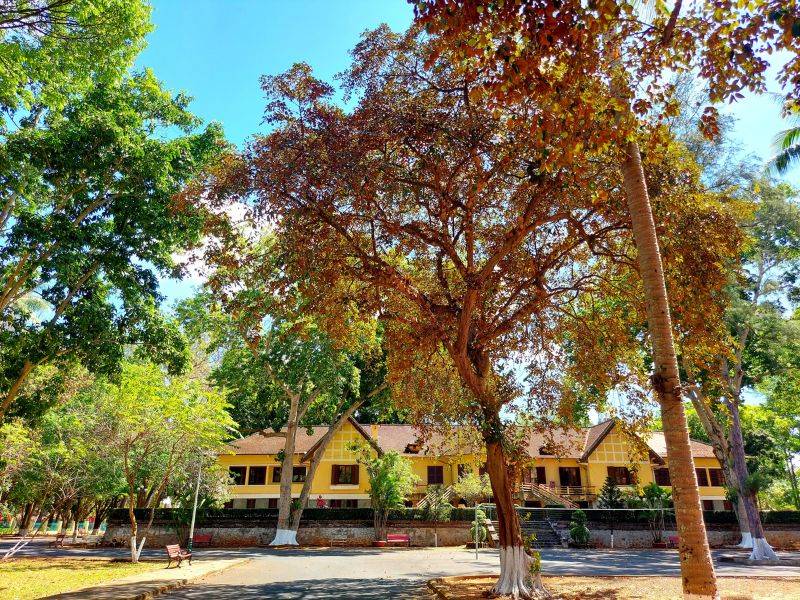 địa điểm du lịch Buôn Mê Thuột