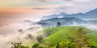 Thời tiết Phú Thọ như thế nào? Du lịch Phú Thọ mùa nào đẹp?, Traveloka VN