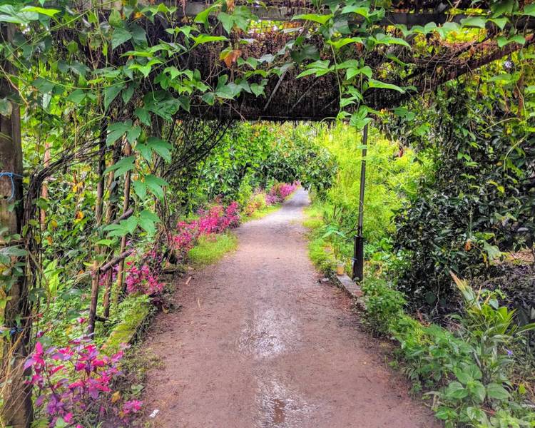 khu-du-lich-sinh-thai-le-loc