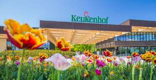 Tips Maksimalkan Liburanmu Saat Mengunjungi Keukenhof di Belanda!, Xperience Team