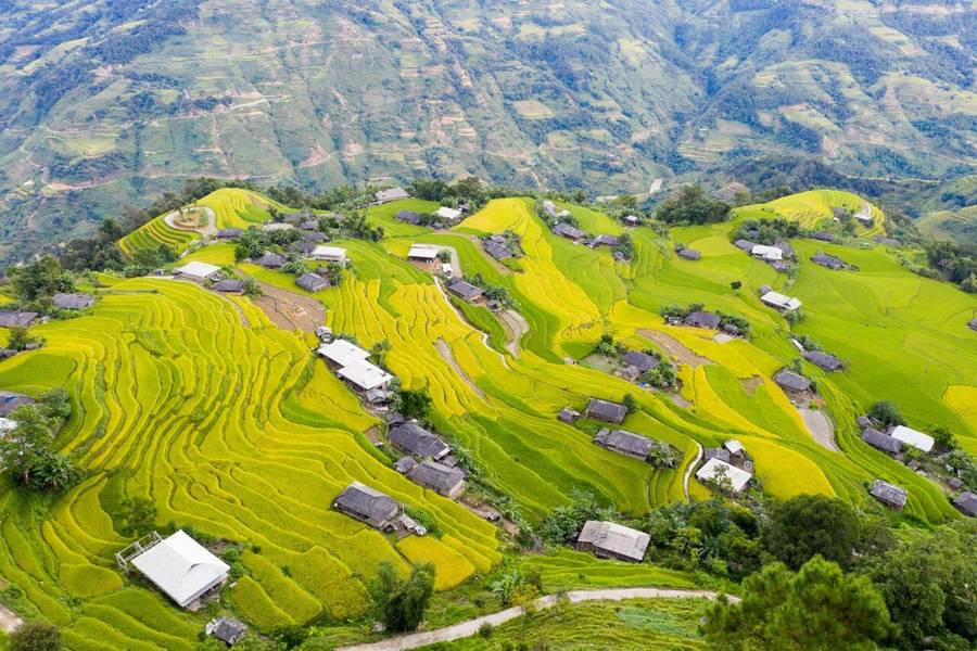 Hoàng Su Phì gây ấn tượng với ruộng bậc thang mùa lúa chín