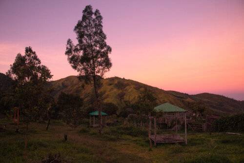 Cemoro Sewu