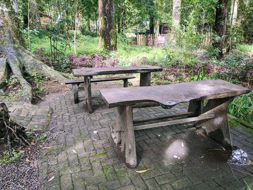 Mojosemi Forest Park