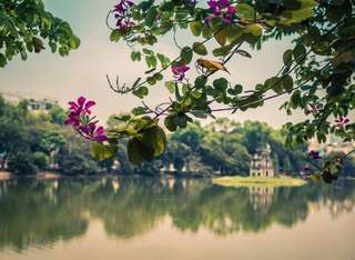 How to get to and from the airport in Hanoi, Traveloka Team