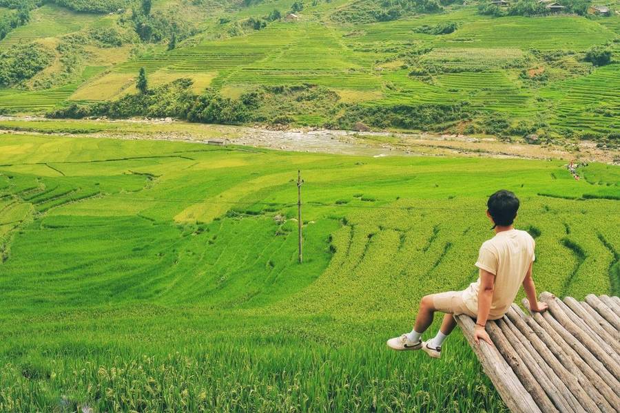 Ruộng bậc thang Sa Pa xếp tầng tầng lớp lớp như tranh vẽ