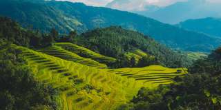 Top 7 ruộng bậc thang Hà Giang đẹp nhất để check in 2026, Traveloka VN