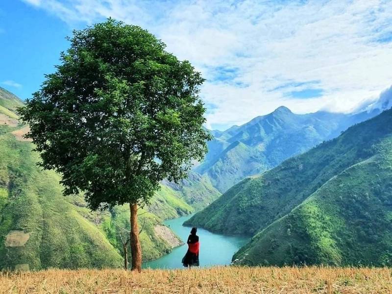Cây táo mèo cô đơn tựa như một sân khấu để bạn chiêm ngưỡng khung cảnh Suối Sập uốn lượn quanh co