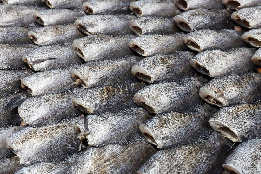 Khô cá sặc là một trong các loại cá khô miền Tây có hương vị mặn, béo nhẹ, thớ thịt dẻo