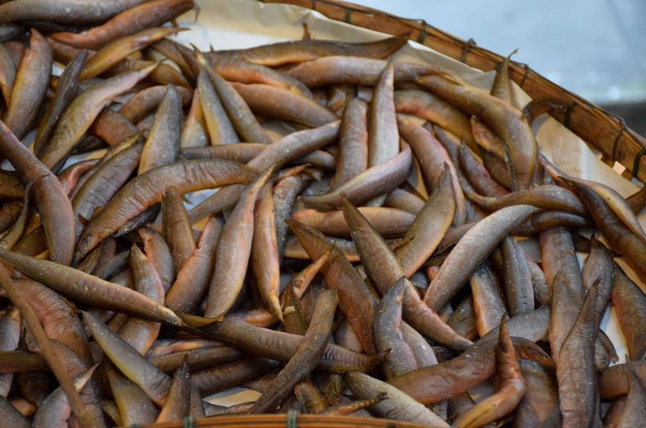 Khô cá chạch là một trong các loại cá khô miền Tây trở thành món ăn quen thuộc của người dân