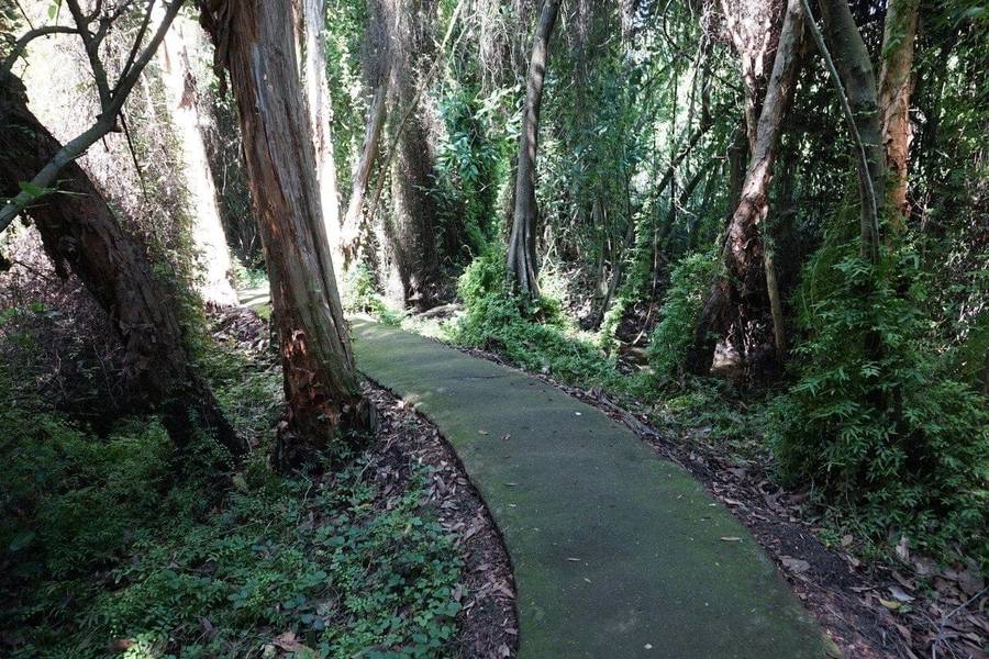 Khu di tích Xẻo Quýt xanh mát là địa điểm du lịch miền Tây gắn liền với lịch sử kháng chiến