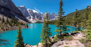 How to Claim Your Canada Tourist Tax Refund: A Step-by-Step Guide, Global Traveller