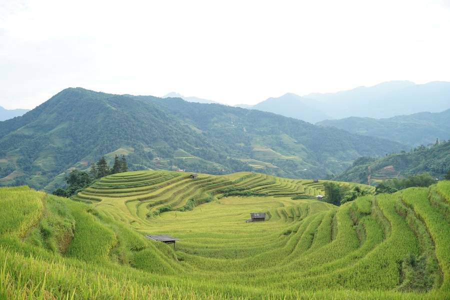 Khung cảnh thiên nhiên ấn tượng của ruộng bậc thang Hà Giang, xã Nậm Khòa