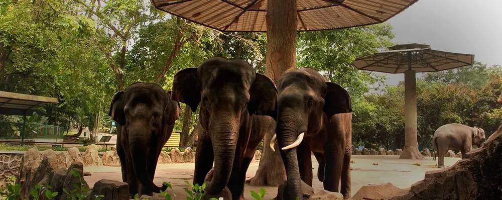 Landmark Terkenal & Tempat Wisata Dekat Lebak Bulus
