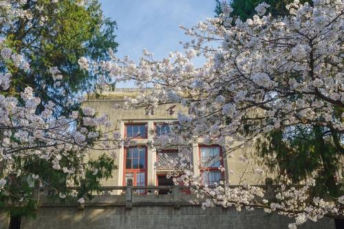 มหาวิทยาลัยอู่ฮั่น (Wuhan University)