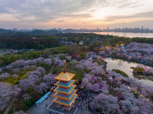 ที่เที่ยวอู่ฮั่น - ทะเลสาบตงหู (East Lake)