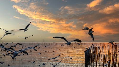 ที่เที่ยวสมุทรปราการ - สถานตากอากาศบางปู