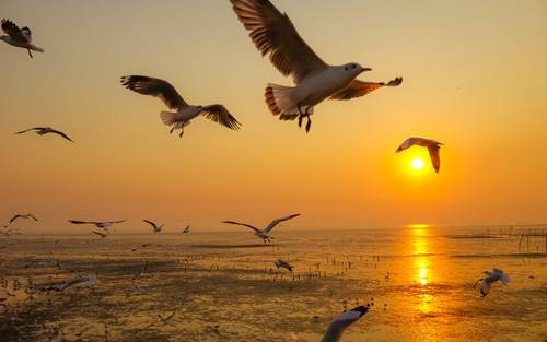 ที่เที่ยวสมุทรปราการ ไปเช้า-เย็นกลับ