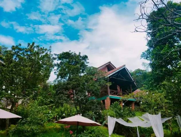 Resto Kebun Teduh