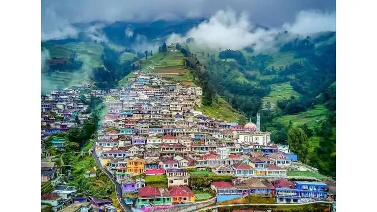 Nepal Van Java