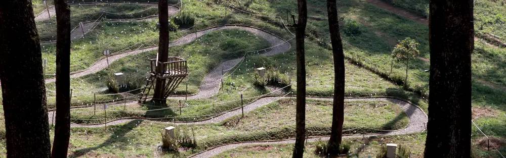  Orchid Forest Cikole