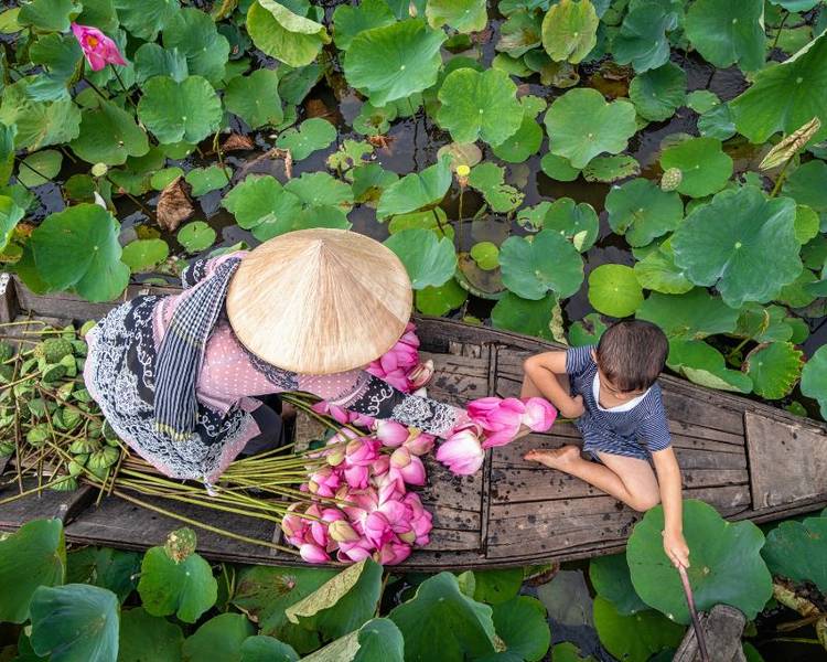 dong-thap-muoi-hoa-sen