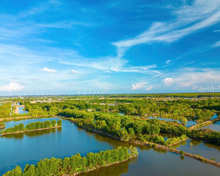 ve-dep-tra-vinh