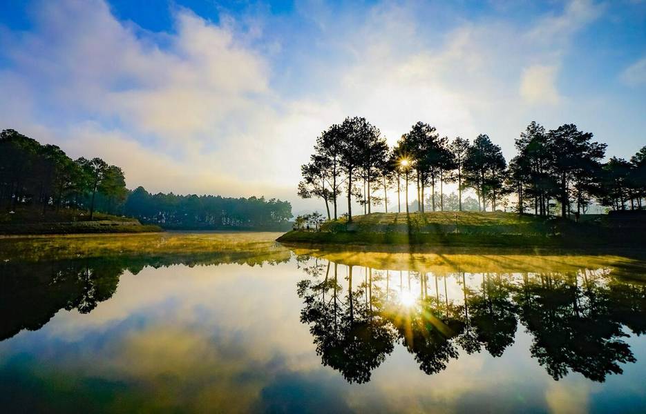 Rừng thông Bản Áng mát lành, cảnh sắc thay đổi theo bốn mùa. 