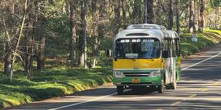 Rừng thông Măng Đen: Khám phá vẻ đẹp hoang sơ nơi đại ngàn, Traveloka VN