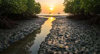 Pantai Teluk Awur Jepara: Daya Tarik, Fasilitas, dan Rekomendasi Hotel, Mas Bellboy