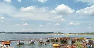 Lokasi, Fasilitas & Aktivitas Seru di Waduk Lebak Bulus, Travel Bestie
