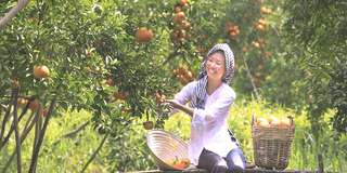 Du lịch miền Tây mùa nào đẹp? 9 Trải nghiệm tham quan thú vị, Traveloka VN